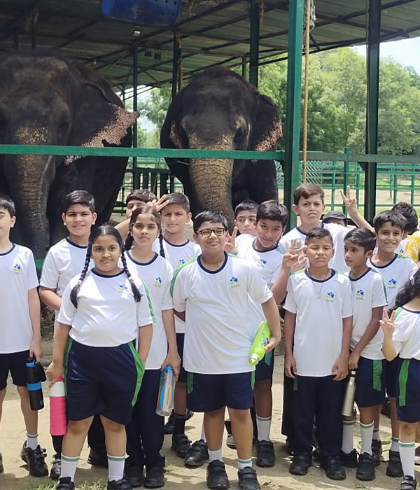 Visit to elephant Rescue Centre