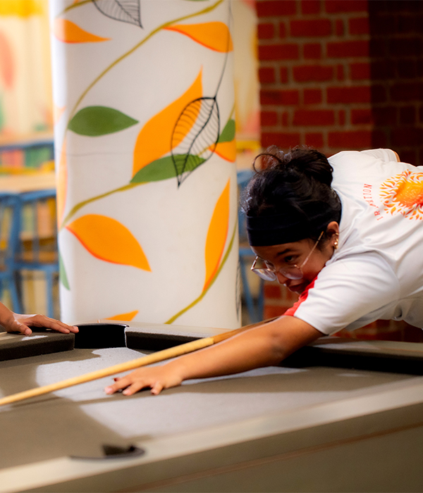 Indoor Sports Billiards